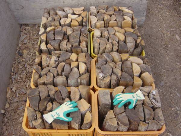 送料無料38cm200kg乾燥薪2年もの楢栗柳楡桜朴楓他 薪ストーブ