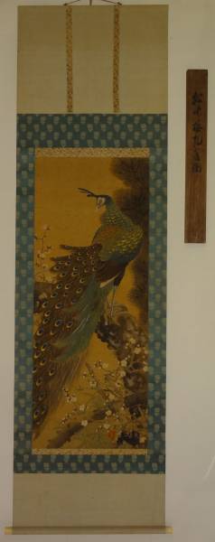 鑑定 日本画家・菊池 鴎江 筆 松竹梅孔雀図 掛軸 共箱(花鳥、鳥獣