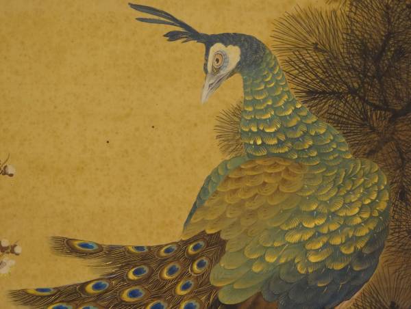 鑑定 日本画家・菊池 鴎江 筆 松竹梅孔雀図 掛軸 共箱(花鳥、鳥獣