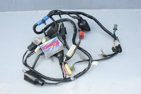 NSR50 前期 たどっ メインハーネス ① nsrmini nsr80 ns1