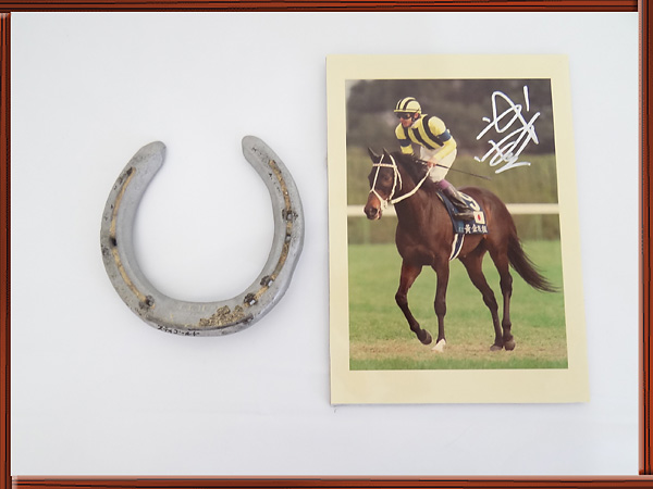 ステイゴールド号引退記念　鉄蹄 名馬 ステイゴールド ラストラン 武豊 黄金旅程 蹄鉄&フォトの入札履歴