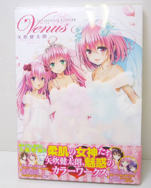 toloveるダークネス　画集　新品未開封　矢吹健太朗 To LOVEる―とらぶる―ダークネス画集 Venus |矢吹健太朗 | まずは無料