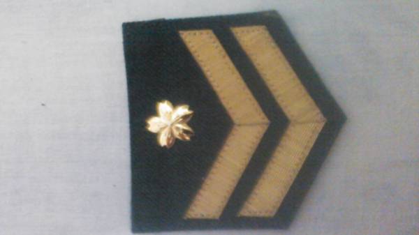 陸上自衛隊 甲階級章 1士制服用 部隊章 階級章 売買されたオークション情報 Yahooの商品情報をアーカイブ公開 オークファン Aucfan Com