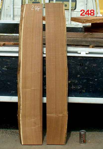 エンジュ（48ミリ厚）248