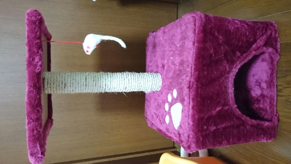 ★６０cm　２段のキャットタワー　赤★_1