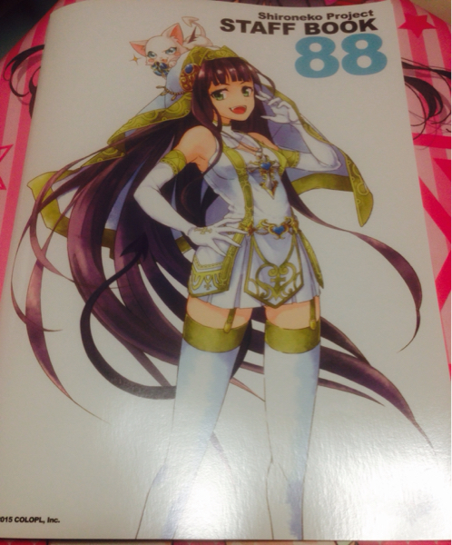 コミケ C88 アクアマリン 黒猫 白猫 スタッフ本 冊子のみ(イラスト集 