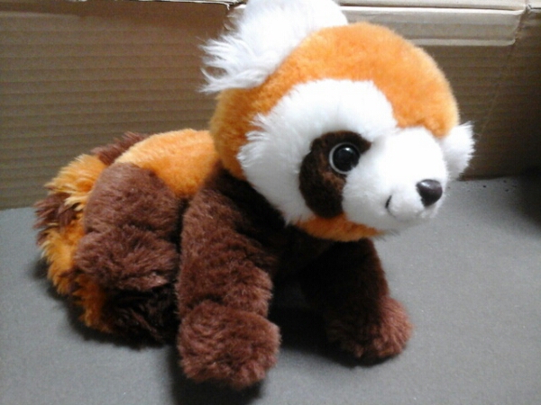 Tokyo Zoological Park Society レッサーパンダぬいぐるみ(動物