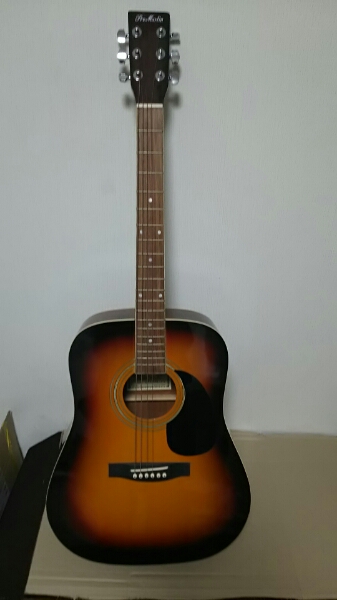 Pro Martin アコースティックギターW180 TS