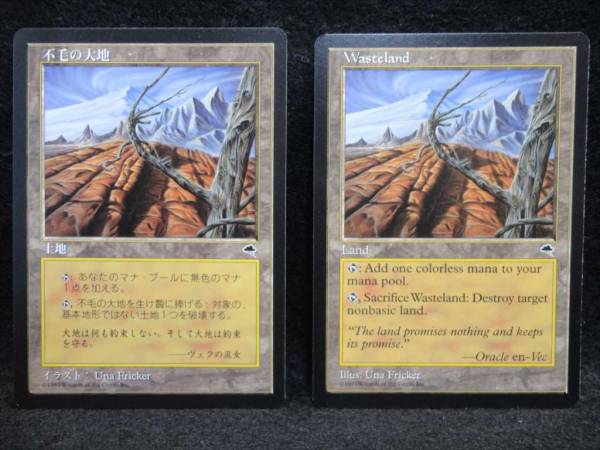 MTG 不毛の大地 Wasteland 英語 日本語 2枚セット mtg Wasteland 不毛