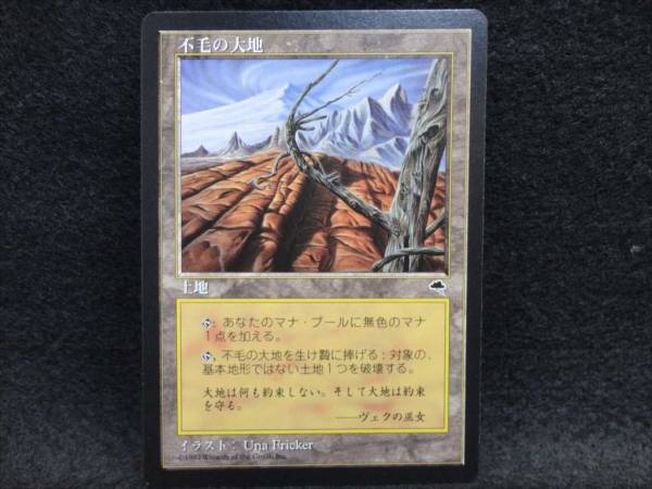 MTG 不毛の大地 日本語 2枚 テンペスト MTG 不毛の大地 日本語 2枚