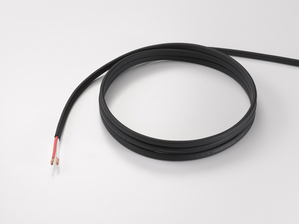 LUXMAN JPS100-10m（4958136035969 ）