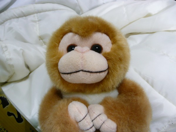 Cute 手足にマグネット 手触り さる ぬいぐるみ サル サル一般 売買されたオークション情報 Yahooの商品情報をアーカイブ公開 オークファン Aucfan Com