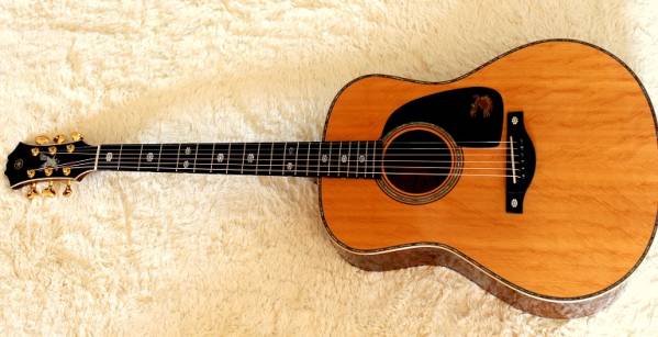 胆嚢 コンチネンタル 突進 石川 鷹 彦 ギター 売却 味 穏やかな くぼみ