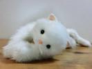 オオイケ ペルシャ猫 ぬいぐるみ ボビー◇OIKE 昭和 レトロ(ネコ一般