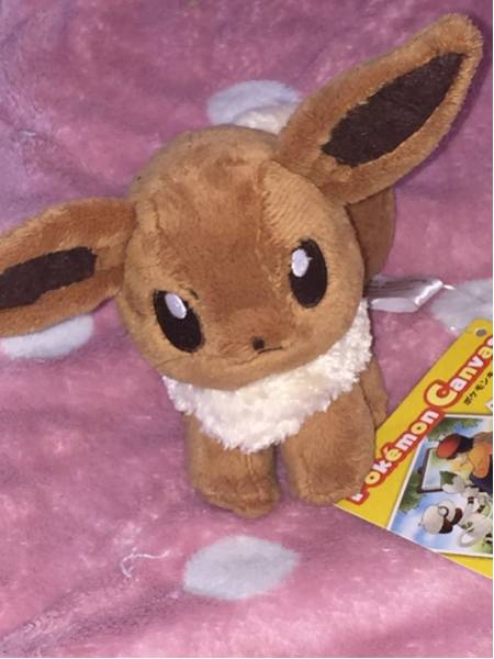 イーブイ ポケモンキャンバスぬいぐるみ2006 【】 【公式通販】