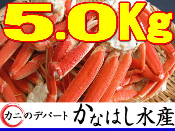 カニデパ1円超メガ大盛本ズワイガニ足5Kg詰訳あり北海道産蟹福袋