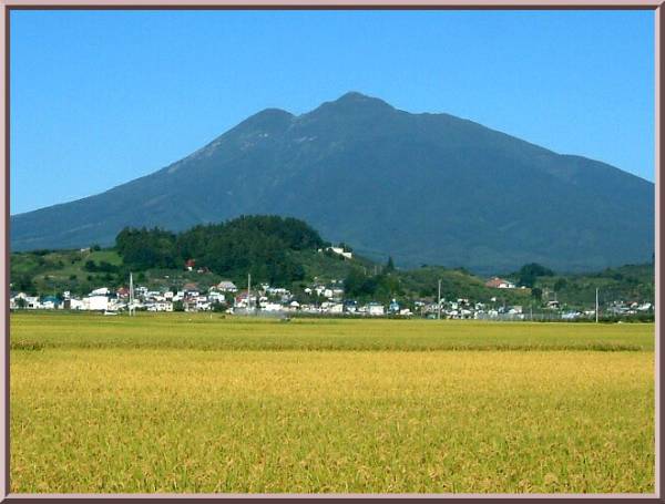 ☆注目送料無料!!税込!!27年産青森県産あきたこまち(中米)v 30kg