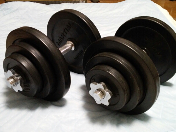 ラバー ダンベル 40Kgセット 20Kg×2個 直径28mm 中古 バーベル