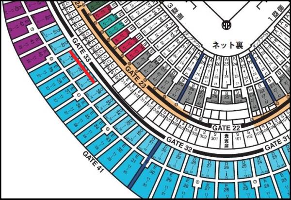 【通路側2枚】8/11巨人v阪神　3塁側2階　スカイシートC スポーツ 通路2枚@3/28巨人v阪神 3塁側2階スカイシート