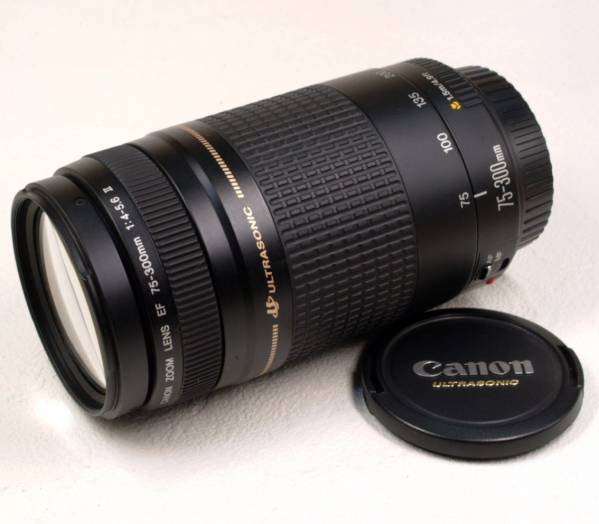 新同・Canon EFズーム75-300mm4/5.6ⅡULTRASONIC☆運動会 Canon EF 75