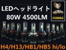 n202046809.1