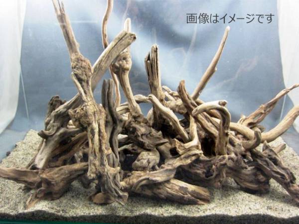 アウトレット 流木 大放出 2㎏×2セット 10_99