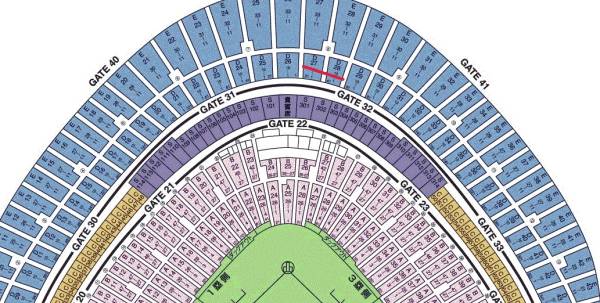 ネット裏/３列 8/11 巨人ｖｓＤｅＮＡ 中央 ＦＣ指定 ２枚 ペア