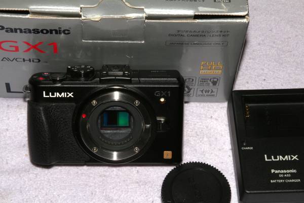 パナソニック Panasonic LUMIX GX1 ブラックボディ 【公式通販】