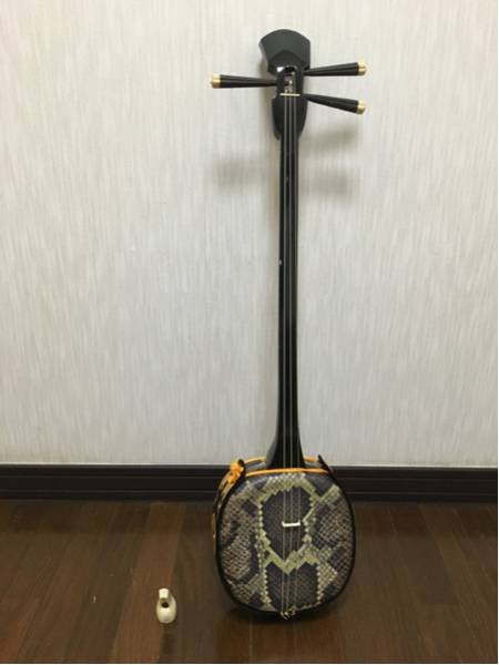 沖縄三線】練習用 蛇柄 沖縄三線 検海の声 涙そうそう 島唄