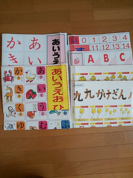 即決☆七田 しちだ パイナップルキッズ