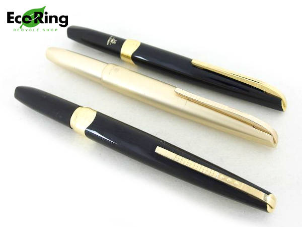 Caran d'Ache 万年筆 18C 750 Mとボールペンセット