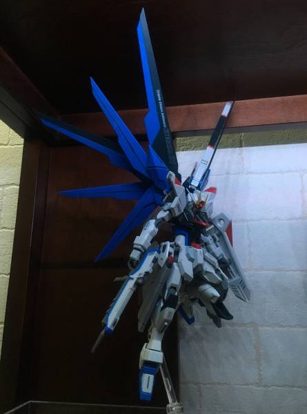 ROBOT魂 フリーダムガンダム 初回特典付き 改修品