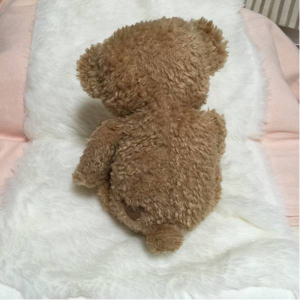 【希少】ダッフィー 初期 稲毛 made in China 中国製_2