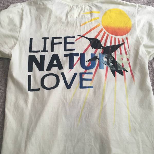 Free City フリーシティー Tシャツ キムタク ロンハーマン 希少 