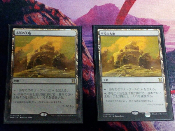 不毛の大地 日本語 2枚セット MTG 初版 TMP 不毛の大地 日本語 2枚セット MTG 初版 TMP 美品】不毛の大地