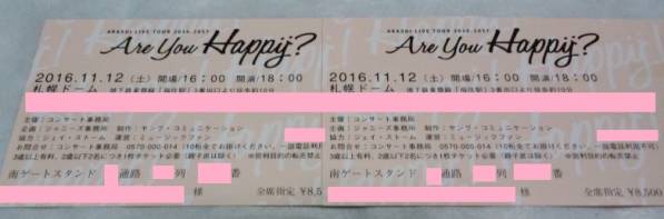 嵐 札幌ドーム 11/12 スタンド 1~2枚