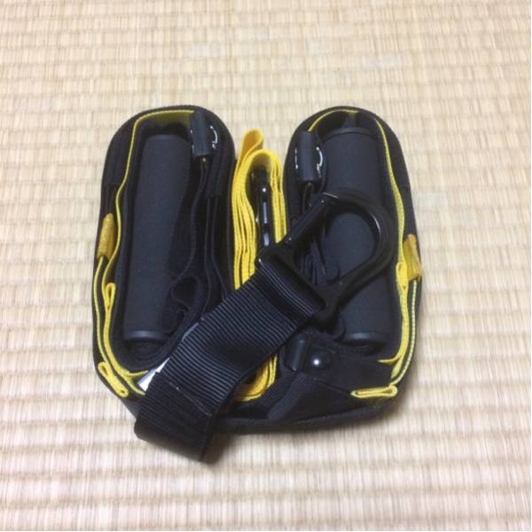 TRX TRX サスペンショントレーニング PRO KIT（プロキット） プロ