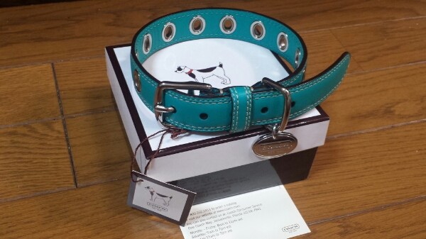 正規品 新品未使用 コーチ COACH 犬 首輪 レザー M レア コーチ 【公式