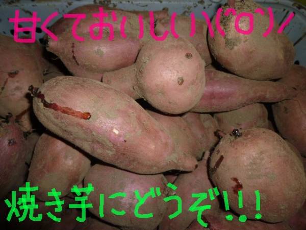 k237539974.2