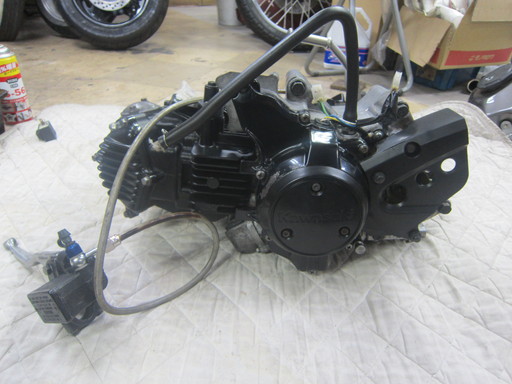 j424035589.3