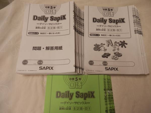 SAPIX 4年 国語テキスト 01〜17 本・雑誌・漫画 本 【公式通販】