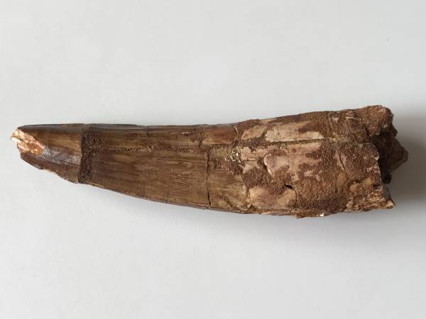 r187442104.2