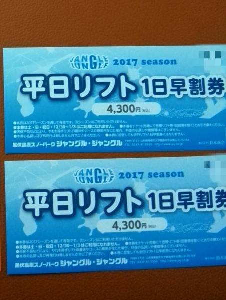ジャングルジャングル 全日リフト1日割引券 2024-2025シーズン 【公式