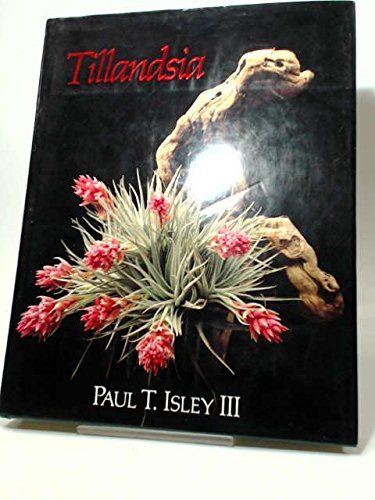 ■即決　希少　洋書■　【Tillandsia】　ティランジア　超豪華本　ポールイシュリー三世