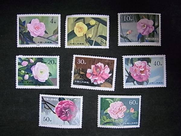 g233862734.2