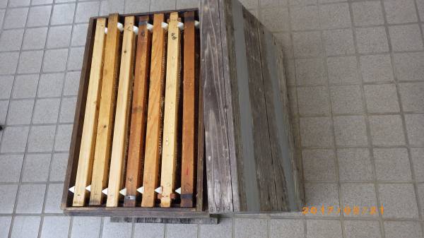 西洋ミツバチ 蜜蜂用　空巣脾（7枚）と中古巣箱（7枚箱）【04】