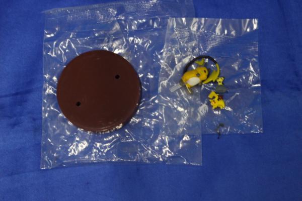 z0342/立体ポケモン図鑑 ピチュー ピカチュウ ライチュウ ポケットモンスター アドバンス ジェネレーション 第5集