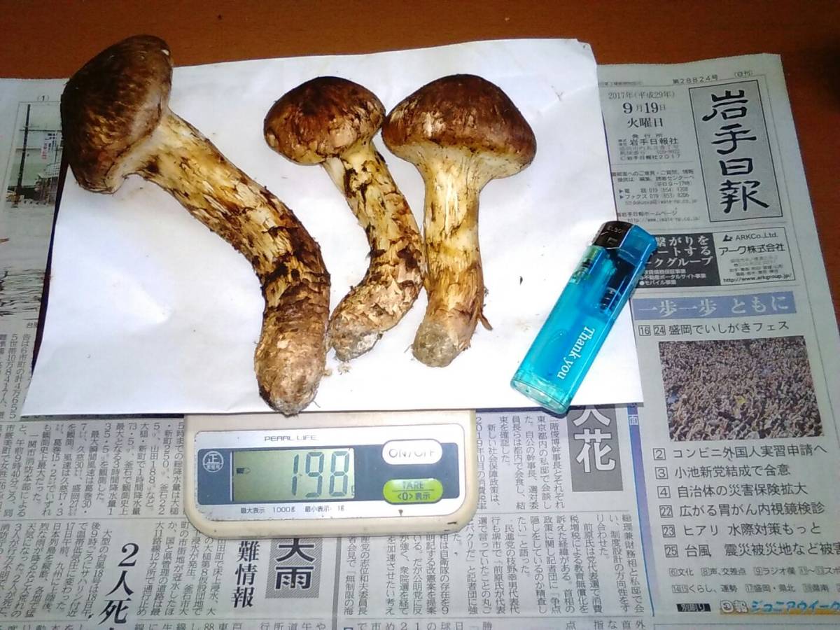 c613970718.3