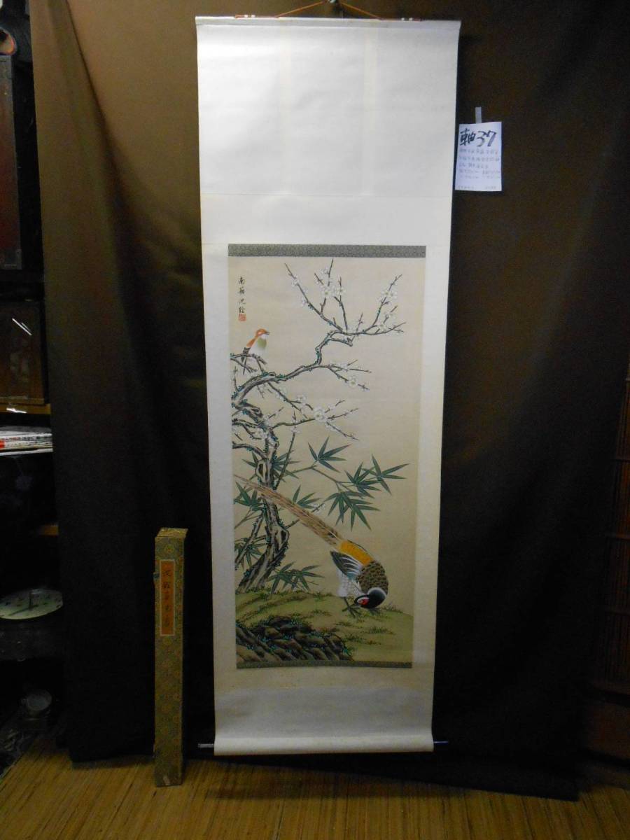 掛軸37唐物中国 南蘋沈銓筆 白梅花鳥之図 極彩色 絹本 唐表装掛軸 美品