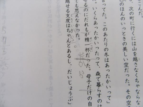 日能研 難関チャレンジテスト - オトクサの 中学受験 メルカリ 入塾